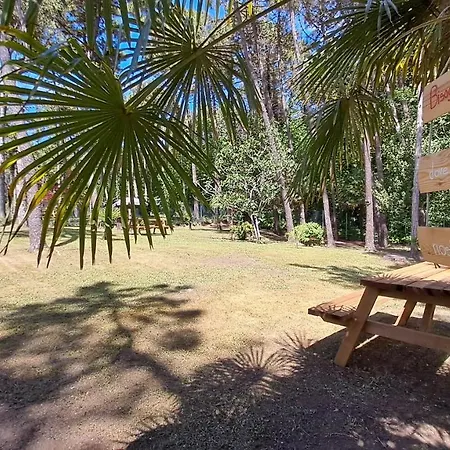 Apartman Barbara Fra I Pini *