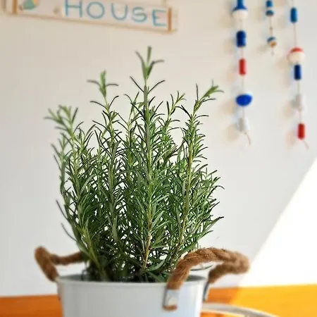 Apartamento Barbara Fra I Pini *