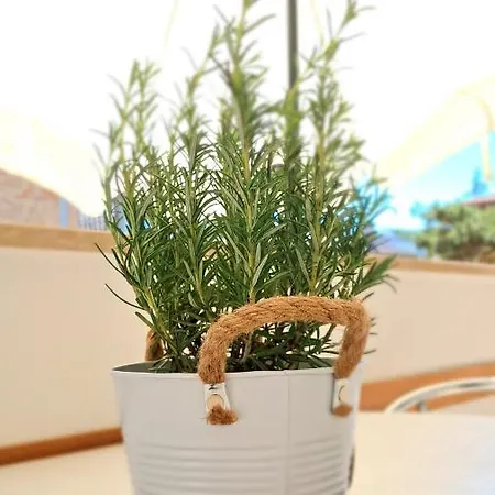 Barbara Fra I Pini * Lignano Sabbiadoro