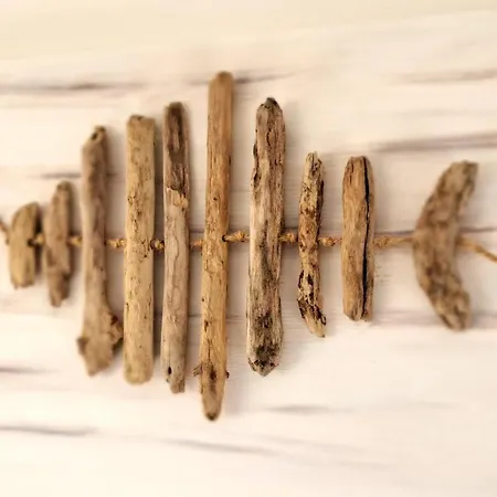 Barbara Fra I Pini Lignano Sabbiadoro