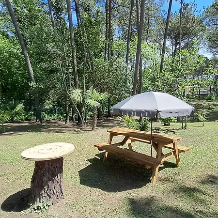 Apartmán Barbara Fra I Pini Lignano Sabbiadoro