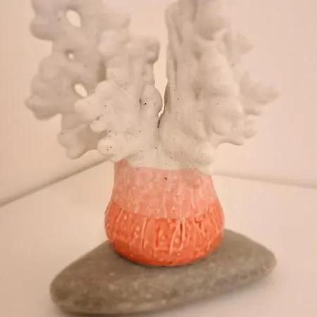 Barbara Fra I Pini * Lignano Sabbiadoro