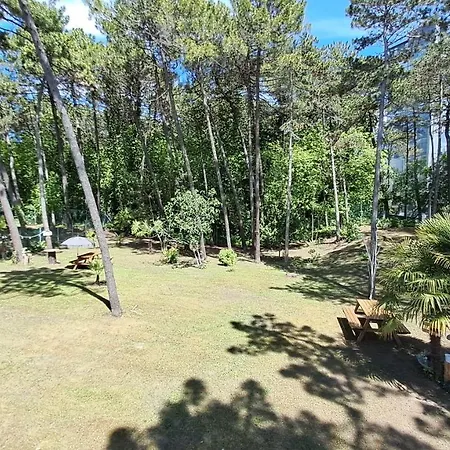 Barbara Fra I Pini Lignano Sabbiadoro