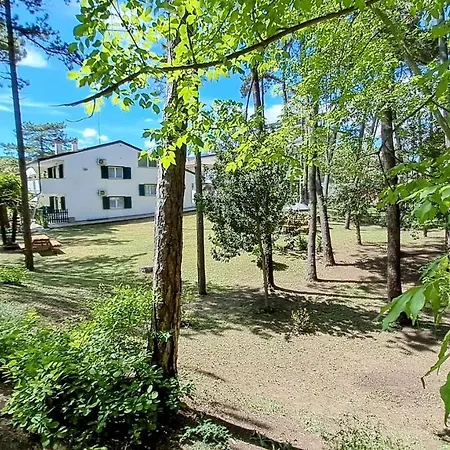 Barbara Fra I Pini