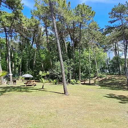 Apartment Barbara Fra I Pini *